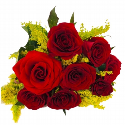 Buquê De 6 Rosas Vermelhas Com Tango