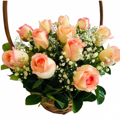 Cesta De Rosas Cor De Rosas Com Gypsophilas Cesta De Rosas Cor De Rosas Com Gypsophilas