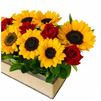 Luxuoso Floreira De Girassóis E Rosas Vermelhas Luxuoso Floreira De Girassóis E Rosas Vermelhas