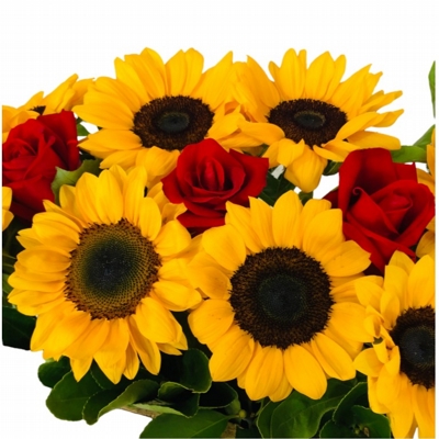 Luxuoso Floreira De Girassóis E Rosas Vermelhas Luxuoso Floreira De Girassóis E Rosas Vermelhas