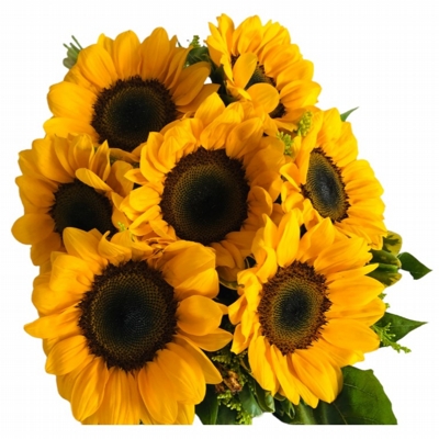 Buquê De Girassóis 