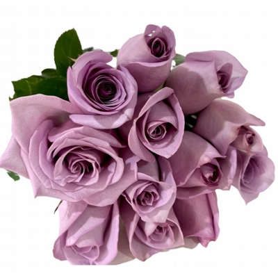 Buquê De 12 Rosas Lilás